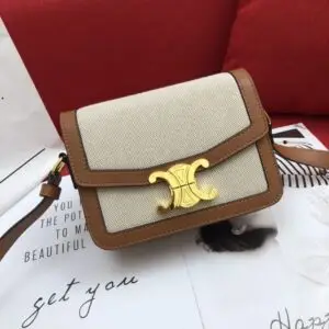 Celine Triomphe Bag