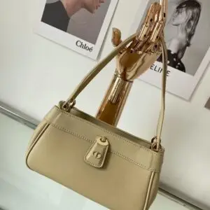 DIOR Chloe Eline Bag