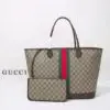 Gucci Ophidia GG Bag
