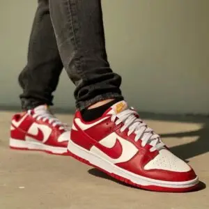 Nike Dunk Low Premium Leather Sneakers