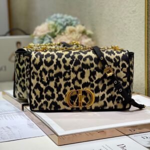 DIOR Caro Bag