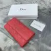 DIOR CARO POUCH