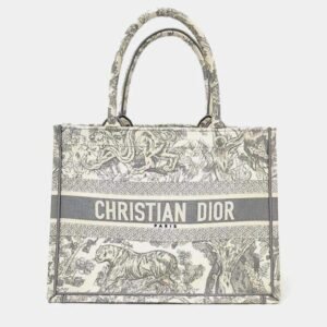 DIOR Book Tote Bag