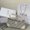 DIOR Wanderlust Mini Bag