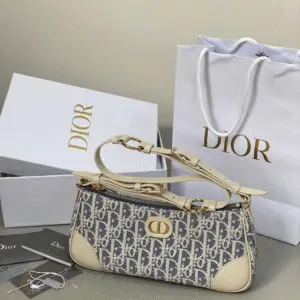 DIOR Wanderlust Mini Bag