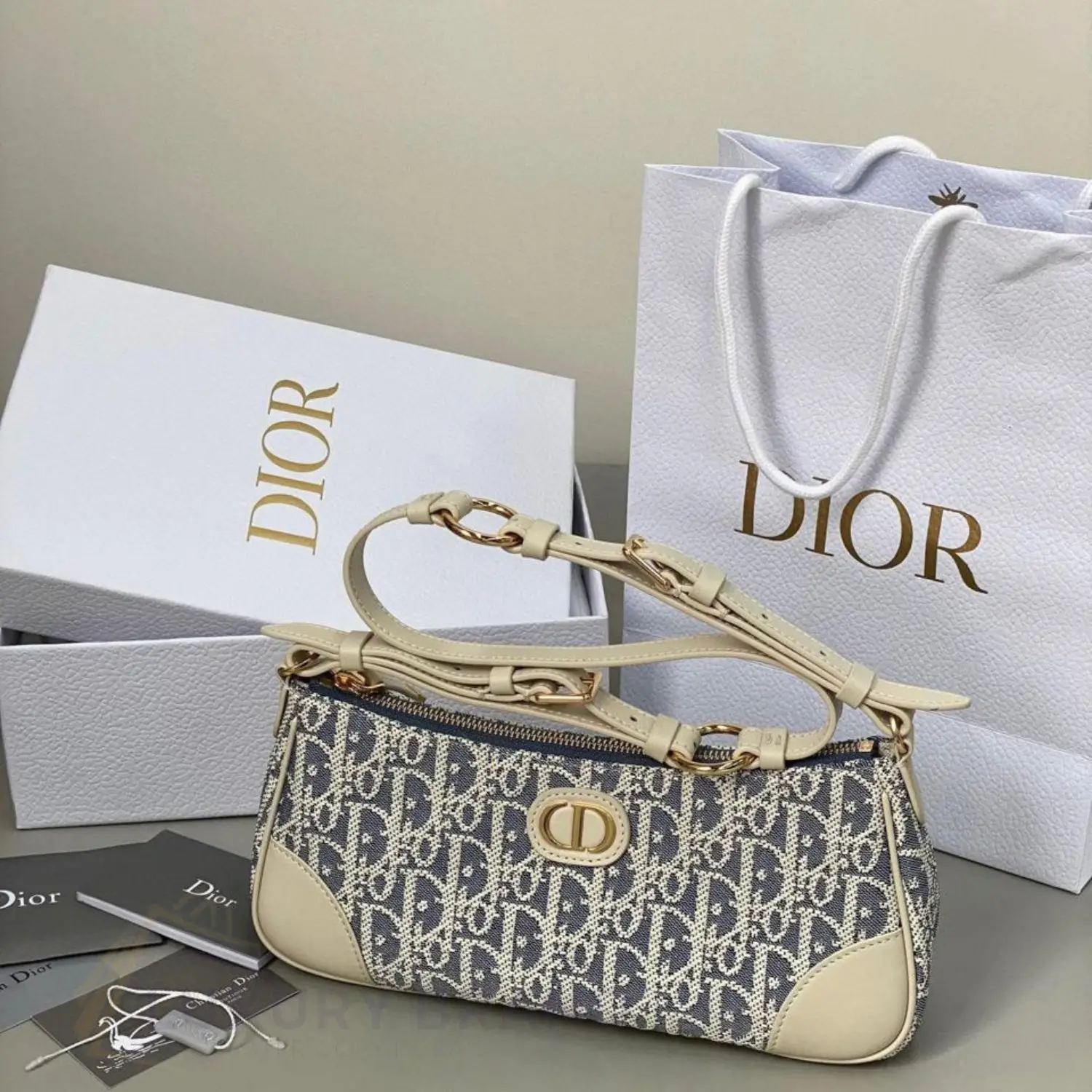DIOR Wanderlust Mini Bag DIOR Wanderlust Mini Bag