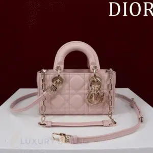 DIOR Lady D-Joy Micro Bag