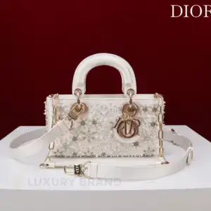 DIOR Small Lady D-Joy Bag