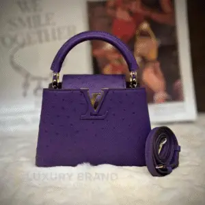 Pre-owned Louis Vuitton Mini Capucines Bag